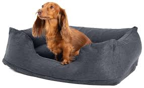 Без названия (1)