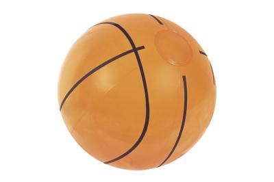 Пляжный мяч 41см "Виды спорта" от 2 лет, 4 вида