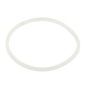 Уплотнительное кольцо AquaViva хлоратора SSC 2021044