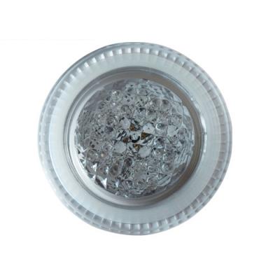 Светильник с цветными светодиодами LED, 6W/12V для плен.басс.